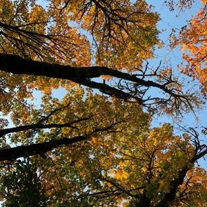 Meet your Posher, Susumu